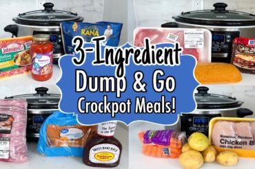 6 Cheap & EASY Dump and Go Crockpot Meals | TASTY 3-Ingredient Slow Cooker Recipes | Julia Pacheco