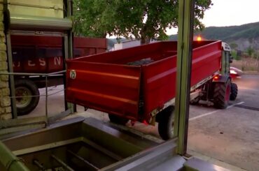 France heatwave could create 'exceptional' wine