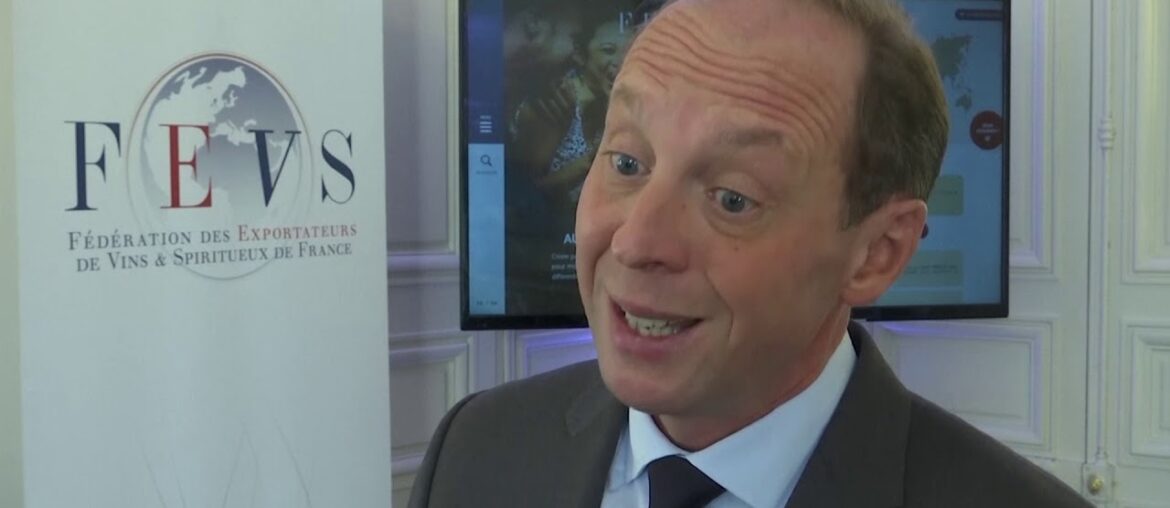 FOLAKE ADESUGBA REPORT: FRANCE WINE EXPORTERS ON BREXIT