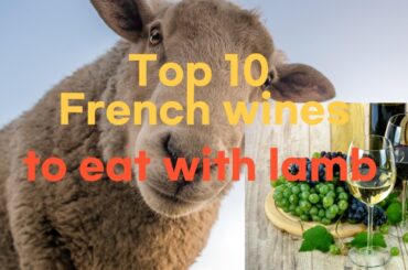 Top10  of French wine to eat with lamb