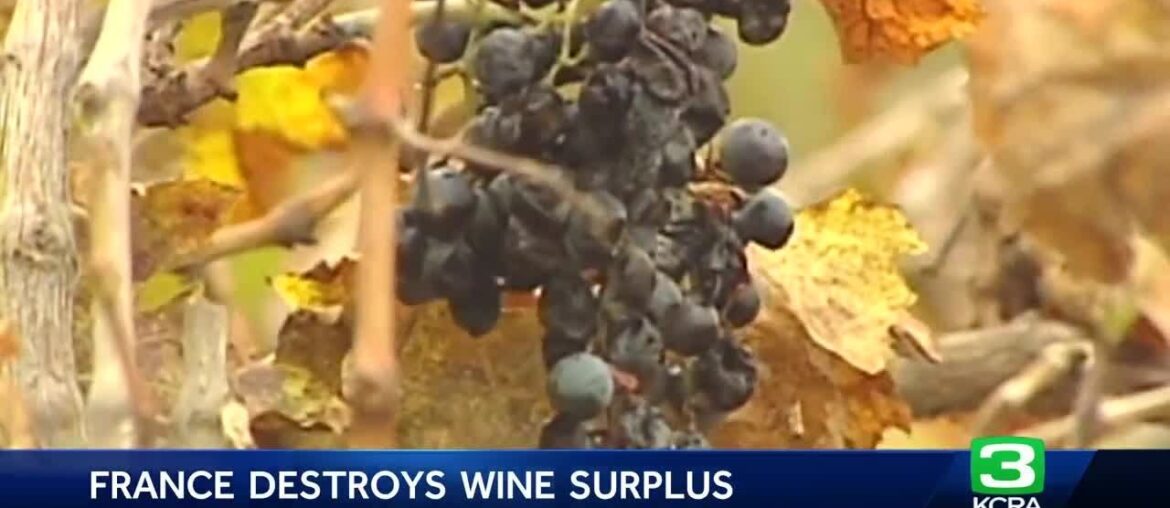 France pays millions to destroy wine surplus France pays millions to destroy wine surplus