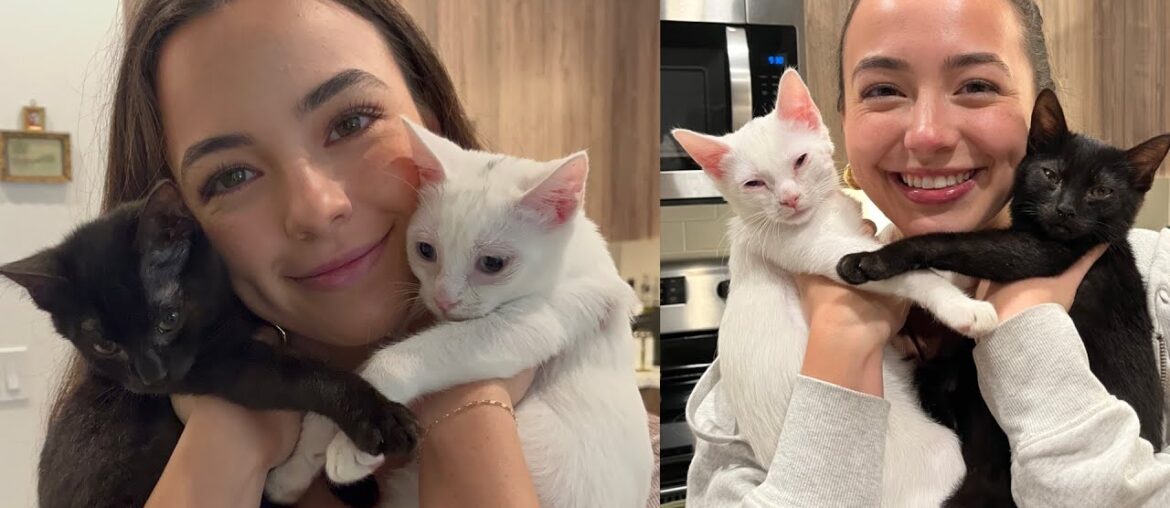 Meeting Nessa's Kittens!