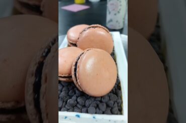 | macroon |dessert |french macroon#easy recipe  #chefrakesh0100