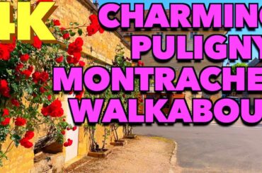 Charming French village Puligny-Montrachet, pop. 378. Home to the finest Burgundy wines.