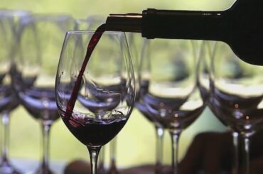 9@9: A country with too much wine