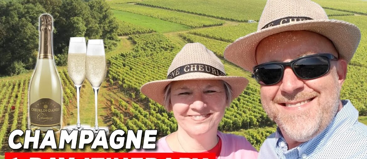 A Day in a French Champagne Vineyard