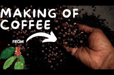 how from coffee seed to power home made!!!.
