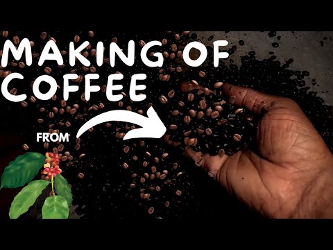 how from coffee seed to power home made!!!. how from coffee seed to power home made!!!.