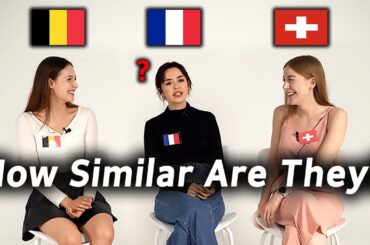 Can French Speaking Countries Understand Each Other? (France vs Belgium vs Swiss)