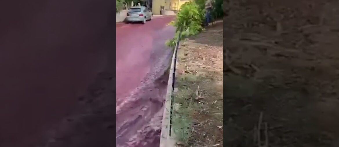 River of RED WINE rages through village after distillery tanks burst #shorts River of RED WINE rages through village after distillery tanks burst #shorts