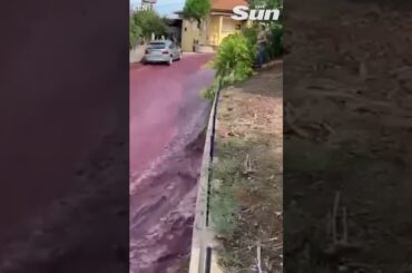 River of RED WINE rages through village after distillery tanks burst #shorts