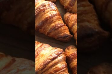 #Friends #Friends #Cuisine #Food #FineDining #Croissants #Snails #Wine #Chicken #Fact #knowladge