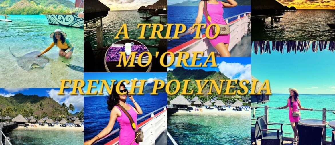 Trip to Moorea | Hilton | French Polynesia | Travel | Vacation | Holidays | Travel vlog