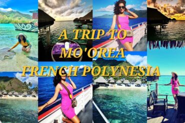 Trip to Moorea | Hilton | French Polynesia | Travel | Vacation | Holidays | Travel vlog