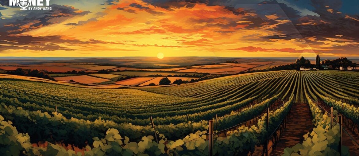 A Journey Through Wine Regions: Terroir and Tradition