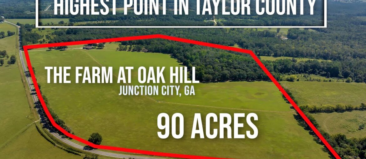 The Farm at Oak Hill – Highest Point in Taylor County 90 Acres The Farm at Oak Hill - Highest Point in Taylor County 90 Acres