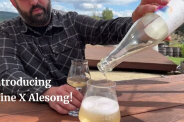 Introducing Wine x Alesong! 2022 Dundee Hills Sparkling Pinot Gris