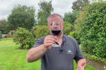 Wine Review: Peller Estates Private Reserve Baco Noir VQA Ontario 2021