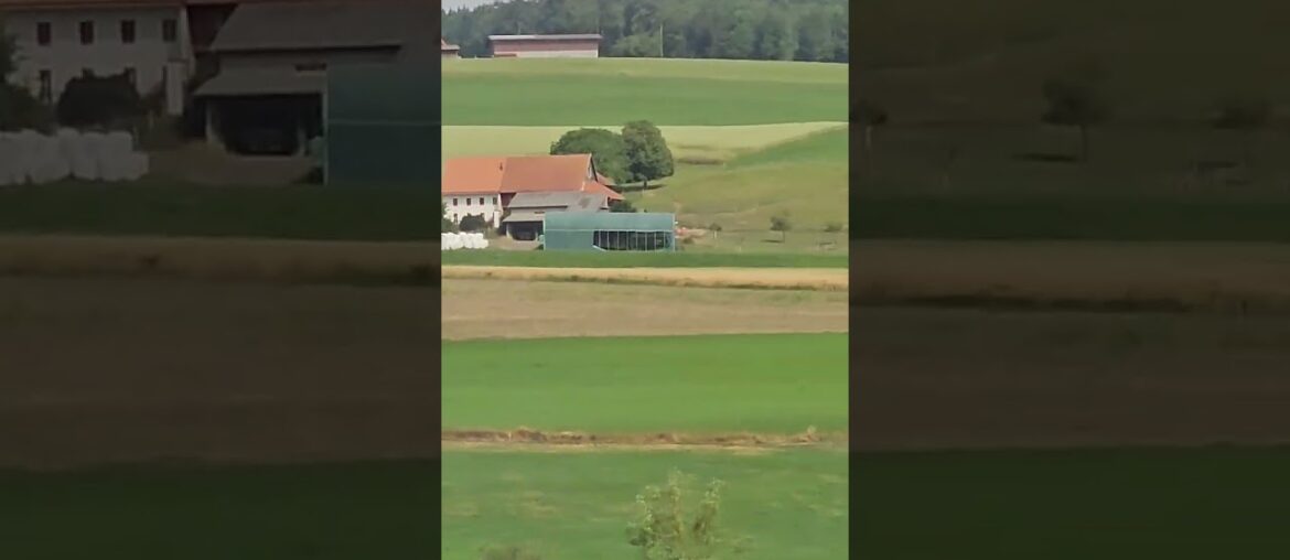 Switzerland 2023 #travel #youtube  #switzerland