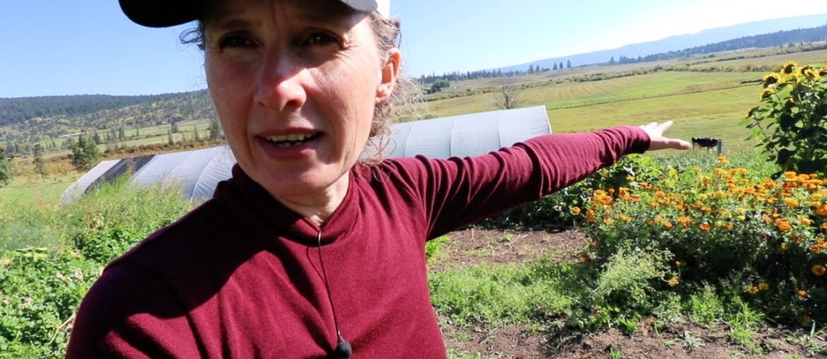 This Frost is Getting Serious | French Onion Soup | Bone Broth and Homemade Horseradish Sauce