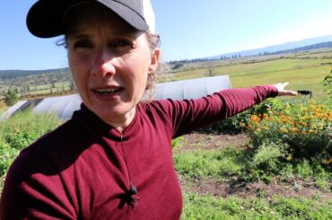 This Frost is Getting Serious | French Onion Soup | Bone Broth and Homemade Horseradish Sauce