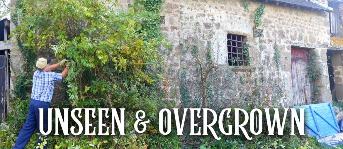 Revealing A Hidden Cottage On My Land in France Revealing A Hidden Cottage On My Land in France