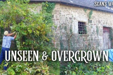 Revealing A Hidden Cottage On My Land in France