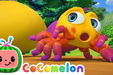 Itsy Bitsy Spider | CoComelon Nursery Rhymes & Animal Songs