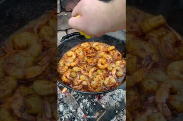 Spanish Garlic Shrimp Recipe | Over The Fire Cooking by Derek Wolf