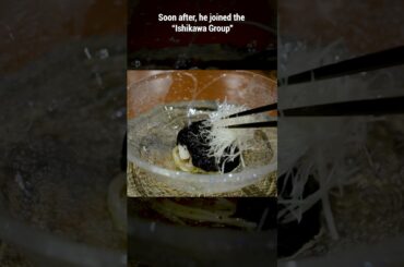 “NK”, a Japanese French fusion cuisine restaurant in Kagurazaka, Tokyo