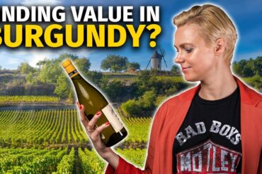 5 Great Value BURGUNDY Wines You MUST Try (While They Are Still Affordable)