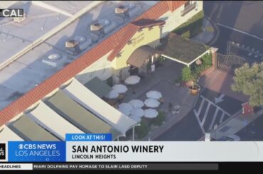 San Antonio Winery | Look At This!