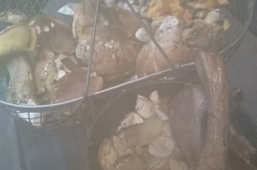 Cèpes du Jour avec Patates et Côtes d'Agneaux