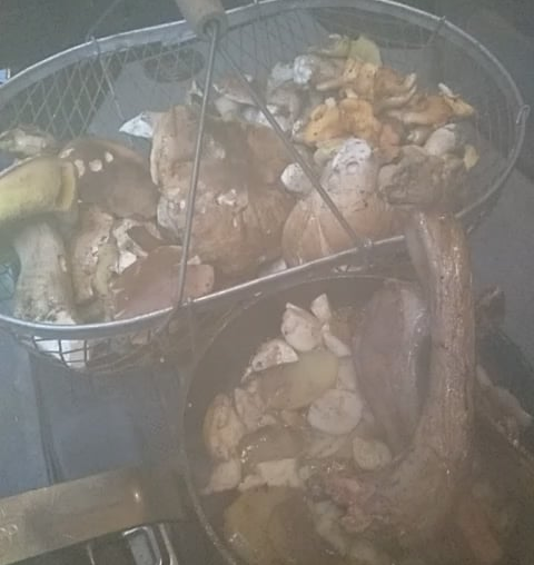 Cèpes du Jour avec Patates et Côtes d'Agneaux