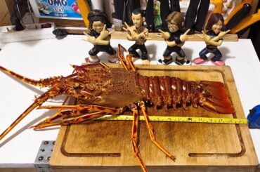 Téma la taille des surcrevettes