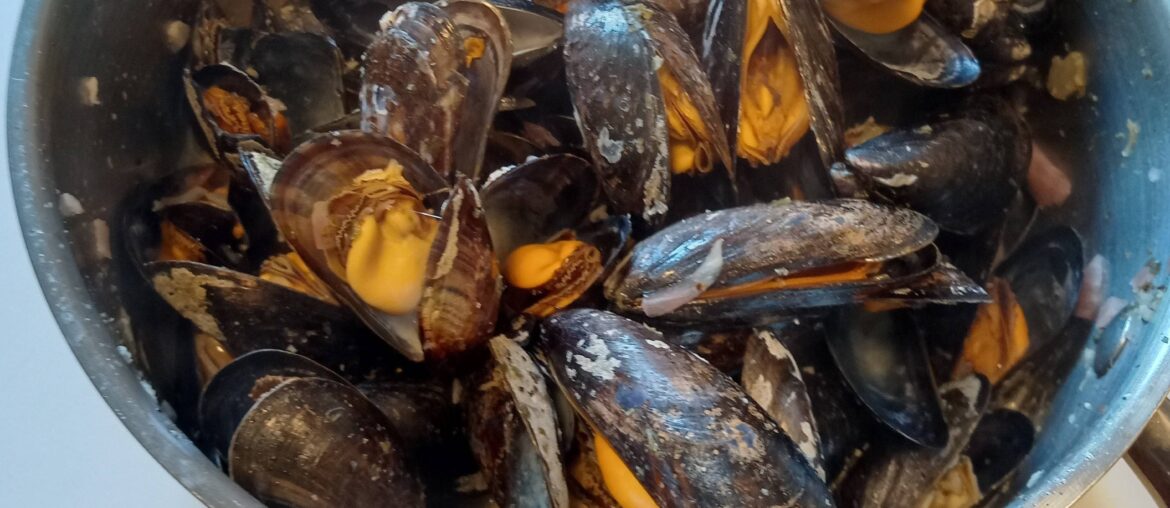 Moules maison dans mon ancien appartement