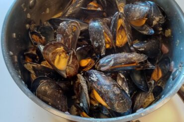 Moules maison dans mon ancien appartement