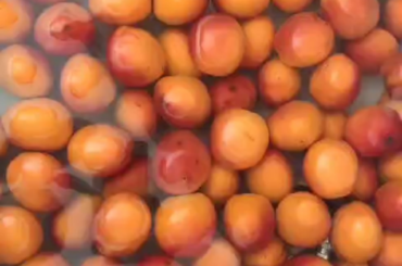 Confiture d'abricots et abricots-romarin