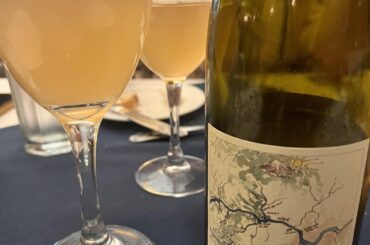 Dysentery free Oregon Trail