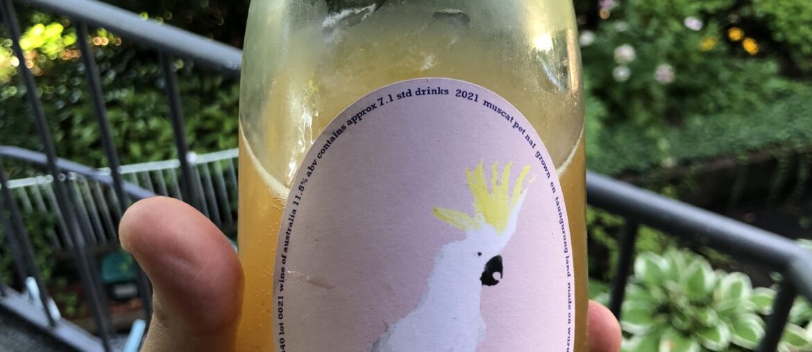 Little Brunswick Wine Co Muscat Pet Nat