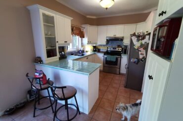 Before and After kitchen Renos. Let me know what you think