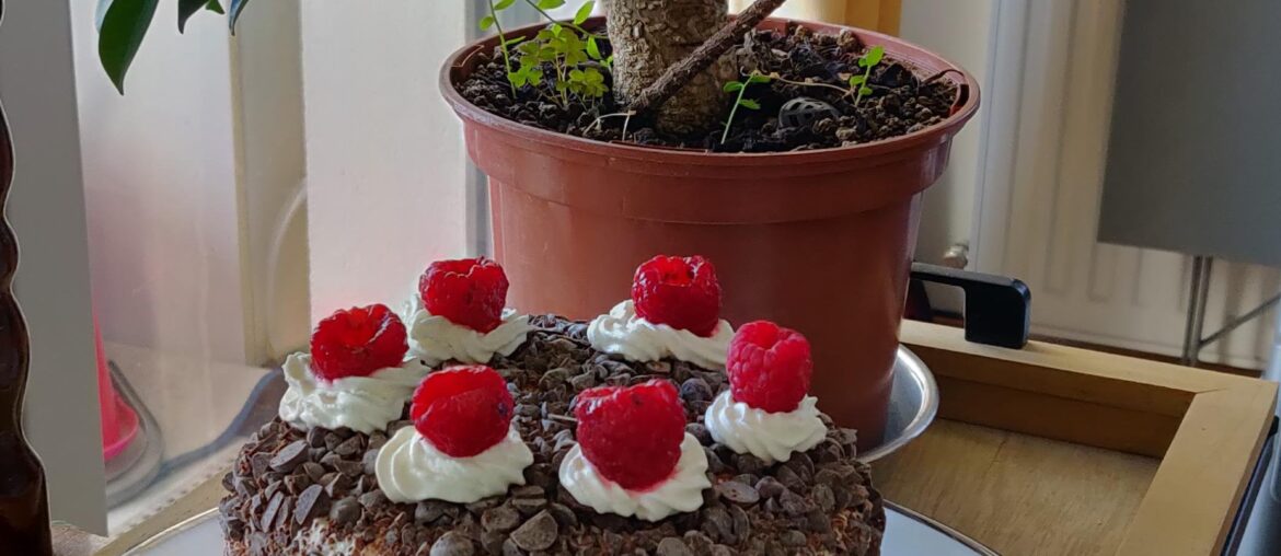 Forêt Noire Framboises