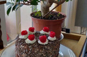 Forêt Noire Framboises