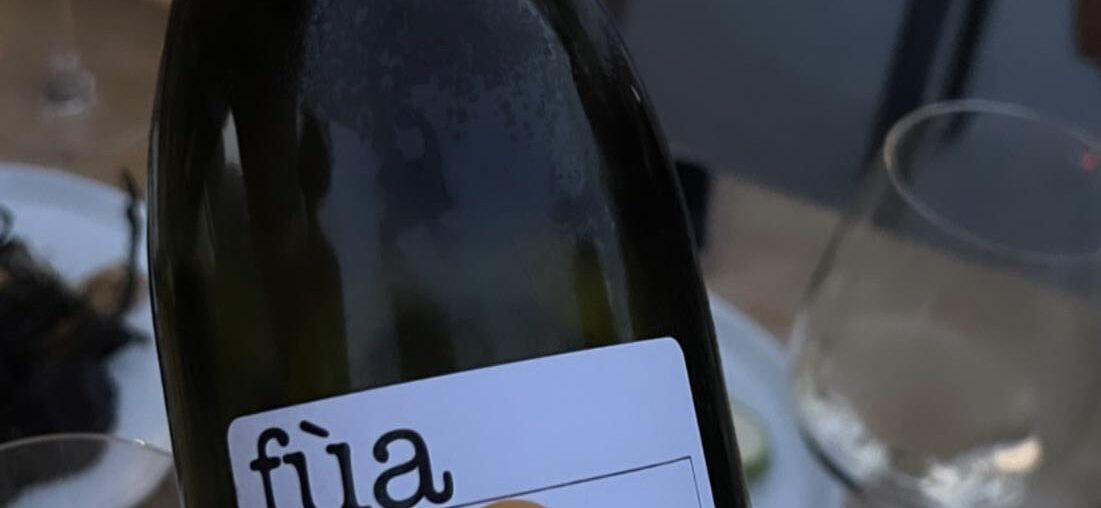 Does anybody know what Dua Lipa drinks? 🤗 As i see she is a big fan of natural wines.