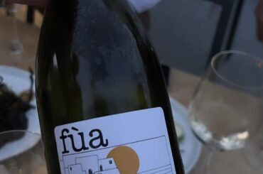 Does anybody know what Dua Lipa drinks? 🤗 As i see she is a big fan of natural wines.