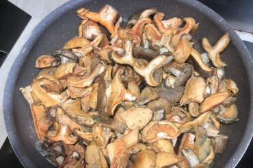 Consommons les lactaires