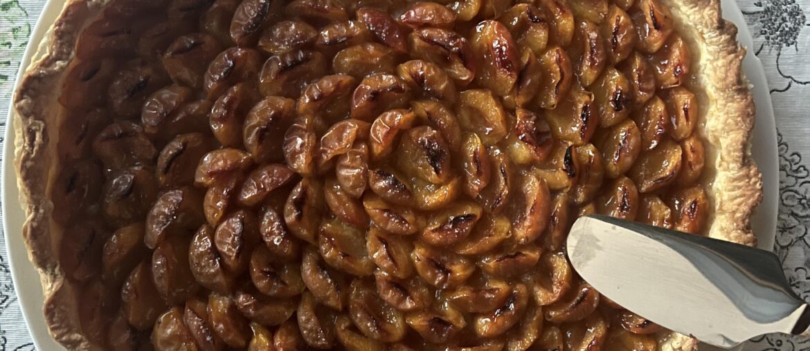 My beautiful aunt made this fresh mirabelle tart. Was recommended I post it here. It was by far and away the best I’ve ever had