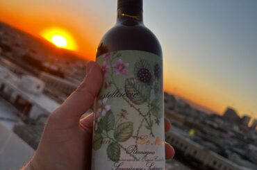 Sunset in the company of the unique Le More Sangiovese Superiore - Castelluccio di Romagna 🍷🍷