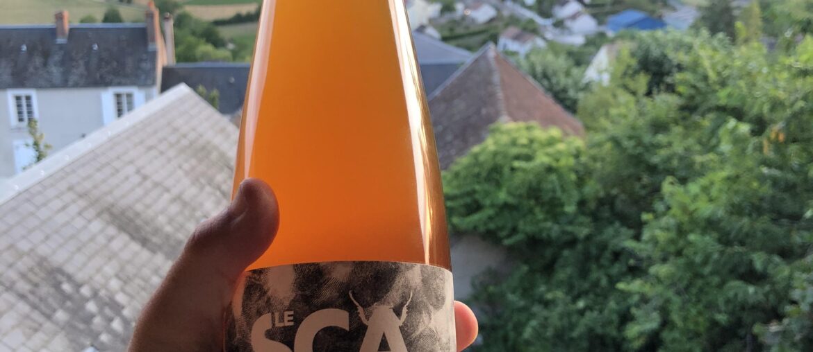 Enjoying a bottle of Binner Scarabee while overlooking the vineyards in France