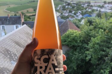 Enjoying a bottle of Binner Scarabee while overlooking the vineyards in France